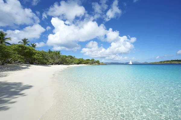 Paradise karibiska stranden Jungfruöarna horisontell — Stockfoto