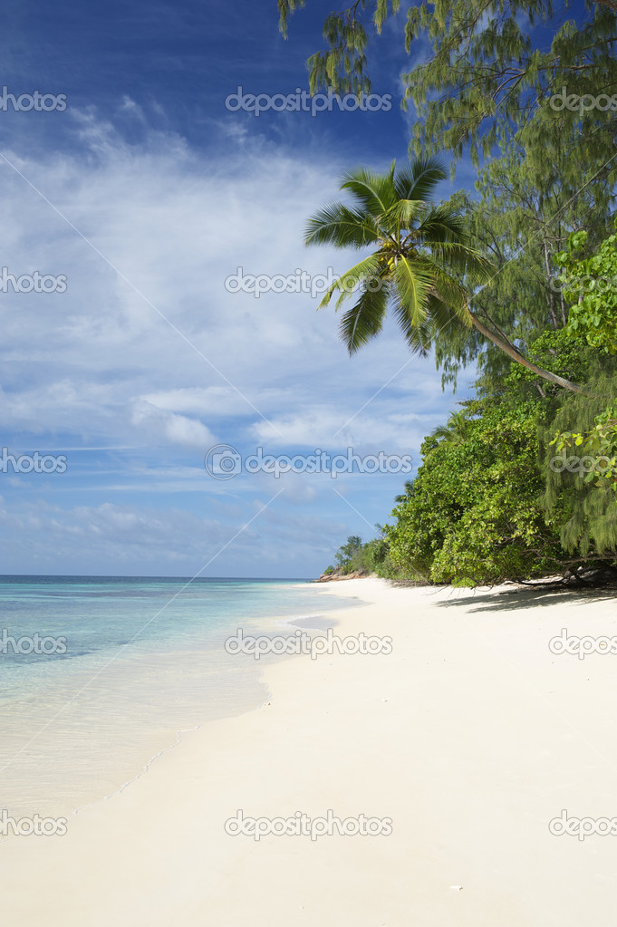Paradise Beach Seychelles Indian Ocean