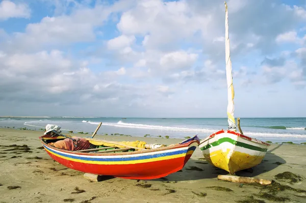 Barche da pesca brasiliane Jangada Jericoacoara — Foto Stock