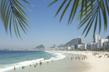 Copacabana Plajı rio de janeiro palmiye ağaçları