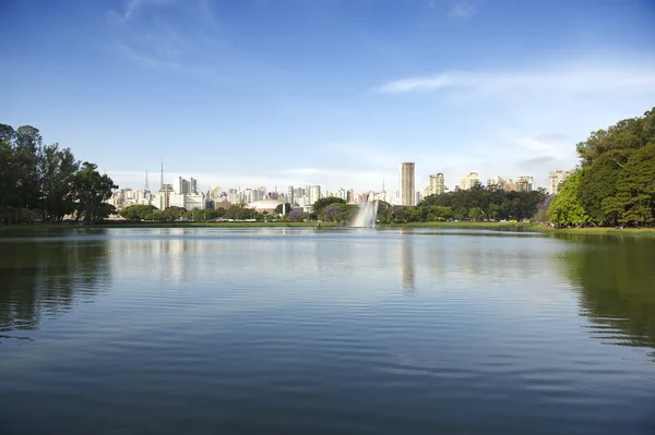 Sao Paulo Brazil City Skyline at Ibirapuera Park — Stock Photo, Image