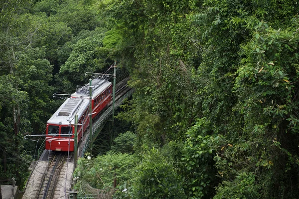 Kırmızı Brezilyalı treni yeşil orman tijuca rio de Janeiro'da — Stok fotoğraf
