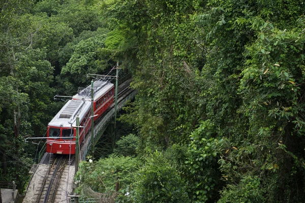 Kırmızı Brezilyalı treni yeşil orman tijuca rio de Janeiro'da