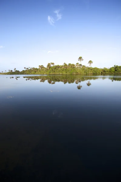 Riflessione sulla calma del fiume brasiliano remoto — Foto Stock