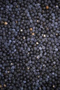 Açaí Acai Berries Brazilian Farmers Market