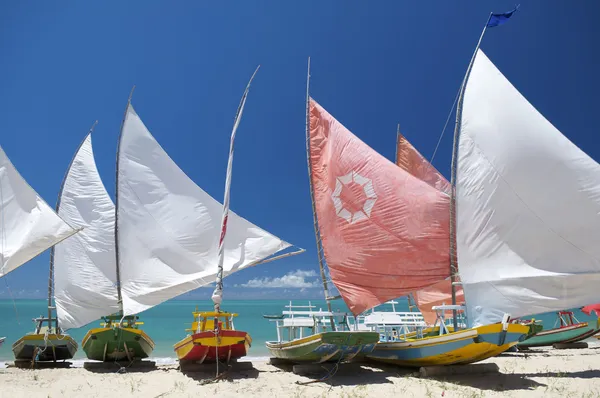 Jangada traditionella segelbåtar brasilianska beach — Stockfoto