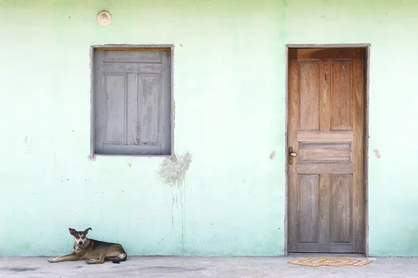 Brasilian Nordeste Village arkkitehtuuri koiran kanssa — kuvapankkivalokuva