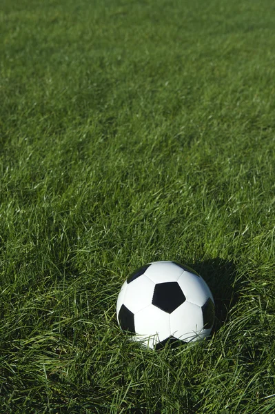 Klassieke zwart en wit Voetbal bal voetbal op groen gras — Stockfoto