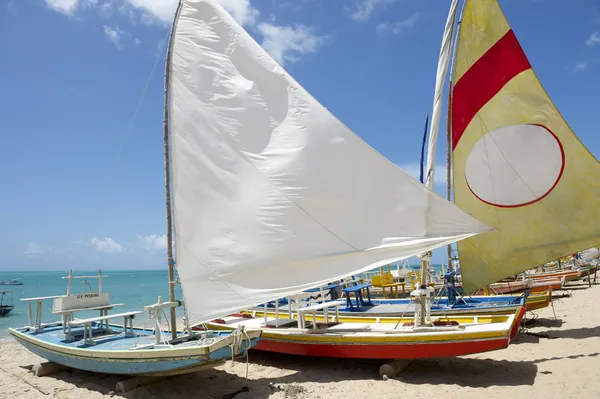 Jangada geleneksel yelkenli Brezilyalı beach