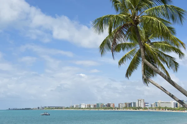 Βραζιλιάνα παραλία palm δέντρα maceio nordeste Βραζιλία — Φωτογραφία Αρχείου