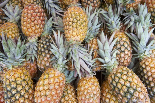 Fresco Piña entera Frutas Mercado de Agricultores Brasileños — Foto de Stock