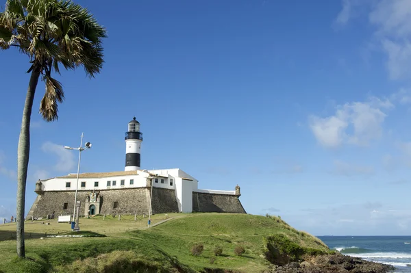 Farol da Barra Salvador Brasilien Fyrtårn med palmetræ - Stock-foto