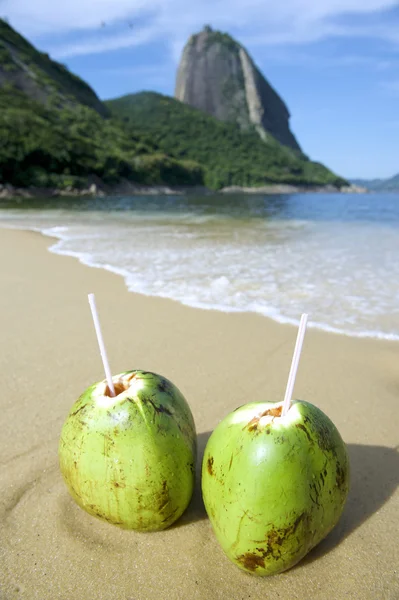 Brasilianska coco gelado kokosnötter röda stranden Copacabana — Stockfoto