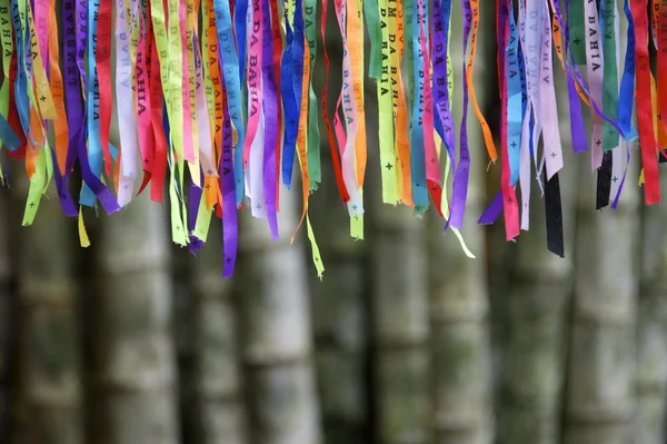 Carnaval brasileño colorido deseo cintas bosque de bambú selva — Foto de Stock