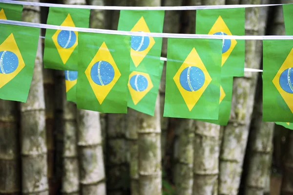 Bandeira Brasileira Bunting Pendurado Bambu Selva — Fotografia de Stock