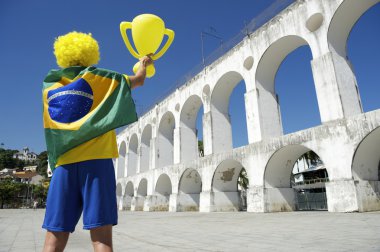 bir rio de janeiro Brezilya bayrağı adam arcos da lapa kemerler