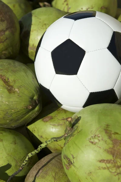 Ballon de football Repos de football avec noix de coco vertes fraîches — Photo