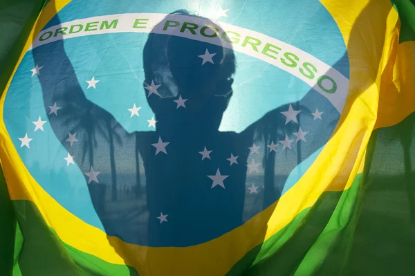 Bandeira Brasileira Silhueta Brilhante Palmeiras — Fotografia de Stock