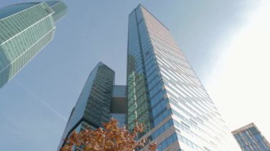 Ofis binası gökdelen sarı ağaç şirket bölgesi 