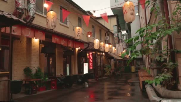 Japoński Styl Podwórko Ulica Jedzenie Obiad Tatinomi Bar Tebura Sika — Wideo stockowe