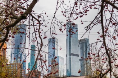 Şehir modern mimari parkı göl kenti doğası ile .konsept vatandaşlar için doğal çevre 