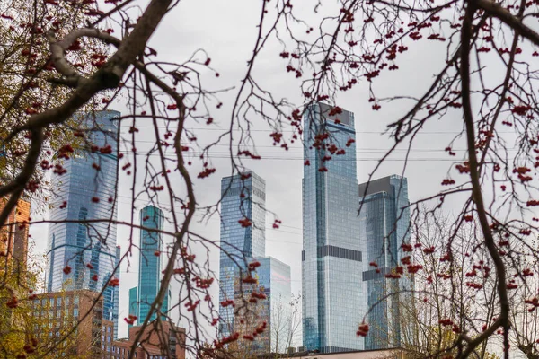 Şehir modern mimari parkı göl kenti doğası ile .konsept vatandaşlar için doğal çevre 