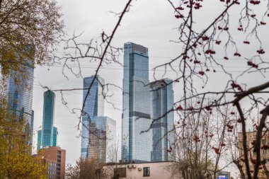 Şehir modern mimari parkı göl kenti doğası ile .konsept vatandaşlar için doğal çevre 