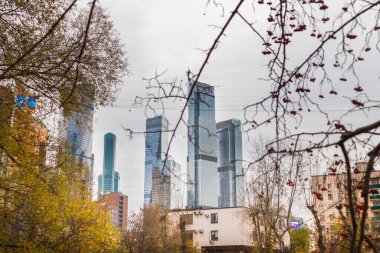 Şehir modern mimari parkı göl kenti doğası ile .konsept vatandaşlar için doğal çevre 
