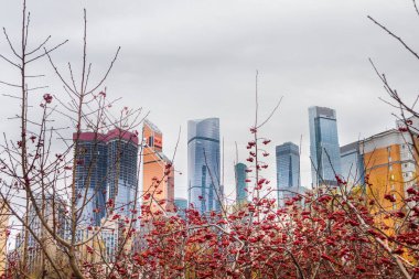 Şehir modern mimari parkı göl kenti doğası ile .konsept vatandaşlar için doğal çevre 