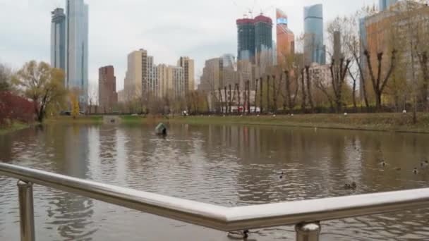 Stad Modern Arkitektur Park Med Sjö Urban Natur Concept Naturlig — Stockvideo