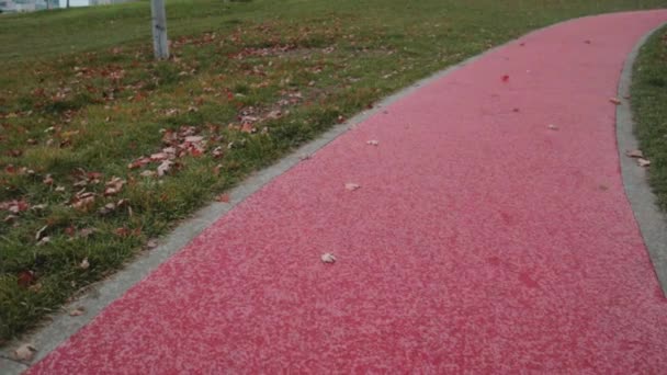 Pink Track Background Pattern Direction Jogging Road Lawn Concept Design — Stock Video