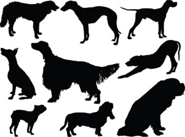 Köpek koleksiyonu - vektör