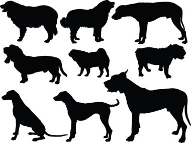Köpek koleksiyonu - vektör