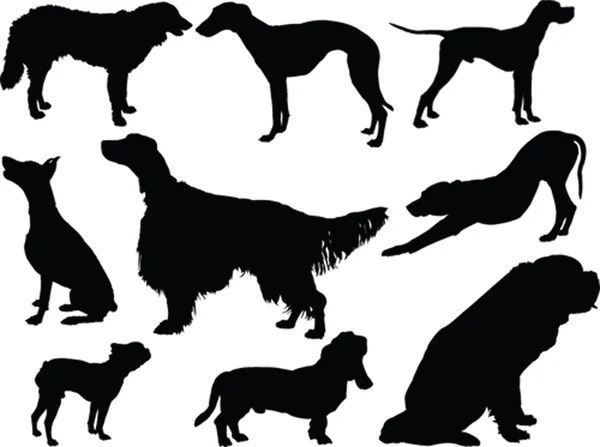 Dogs collection - vector — Stock Vector