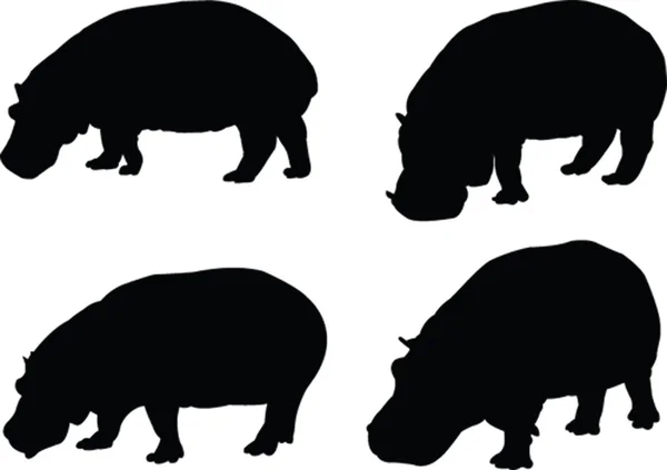 Hippo silhouette - vector — Stockvector