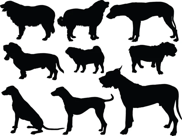 Colección de perros - vector — Vector de stock