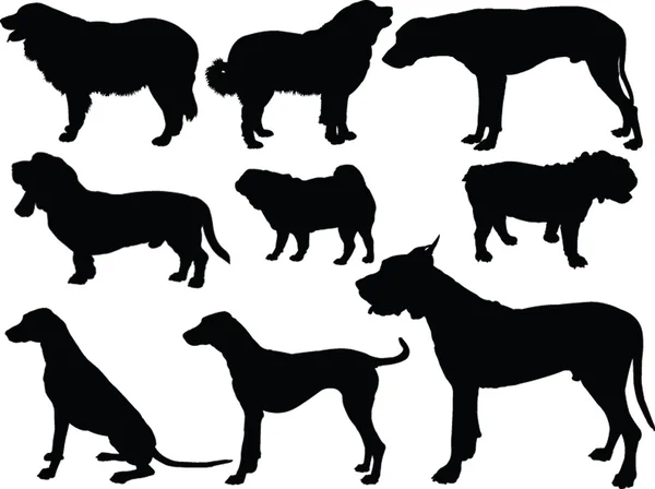Köpek koleksiyonu - vektör