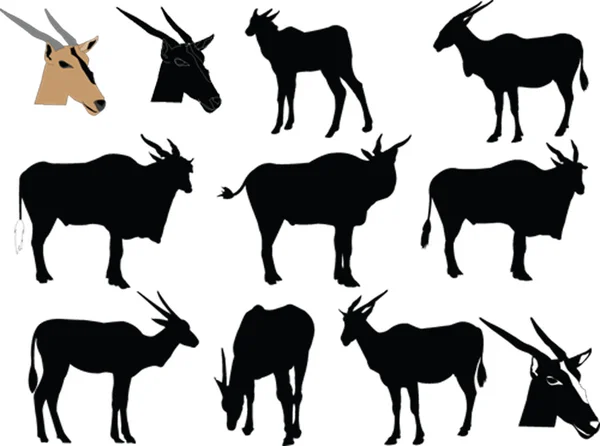 Silhouette d'antilope - vecteur — Image vectorielle