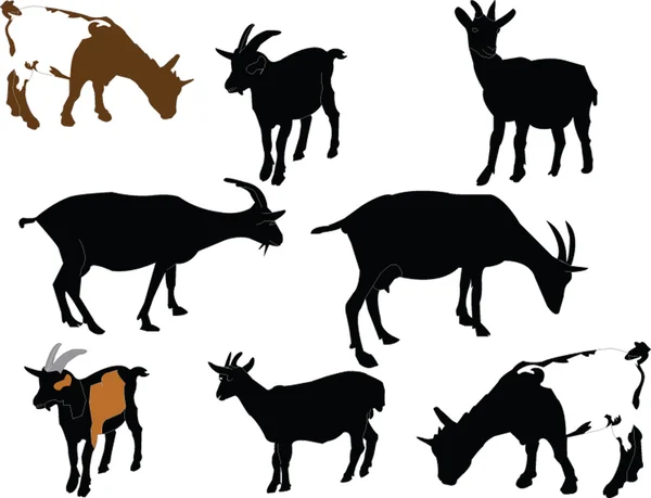 Colección de cabras - vector — Vector de stock