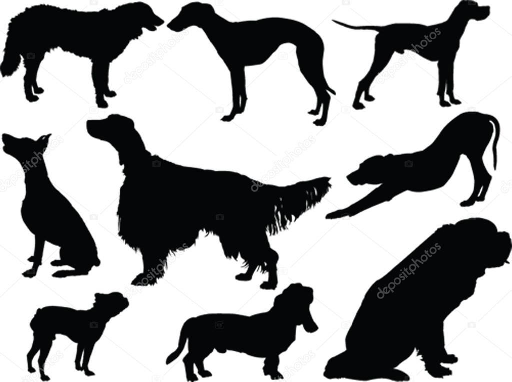 Dogs collection - vector