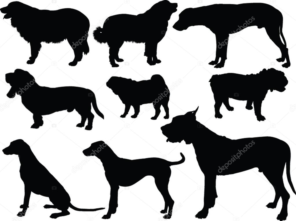 Dogs collection - vector