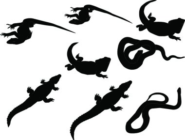 reptils collectie - vector