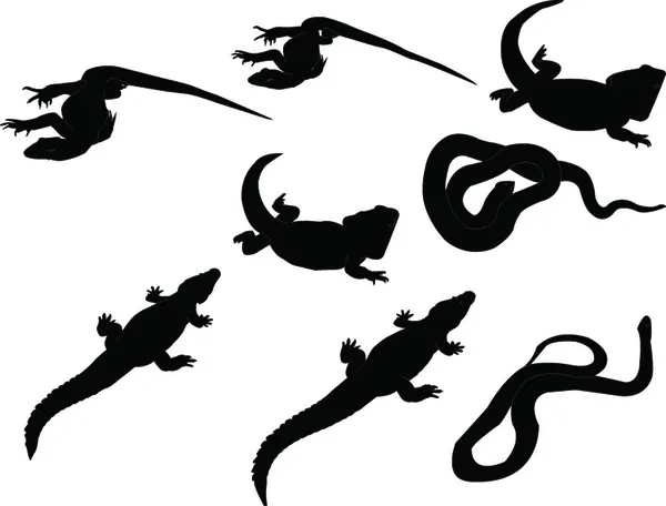 reptils collectie - vector