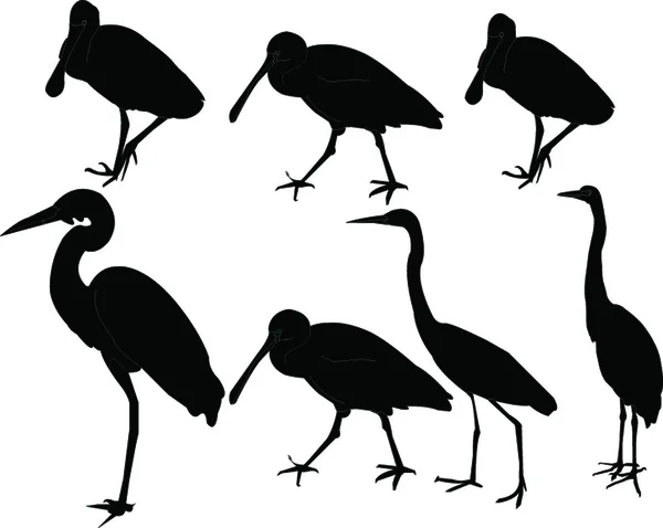 Herons collection - vector — Stock Vector