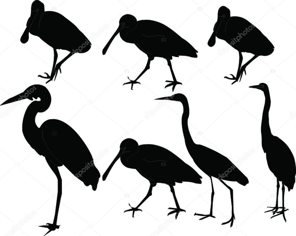 Herons collection - vector