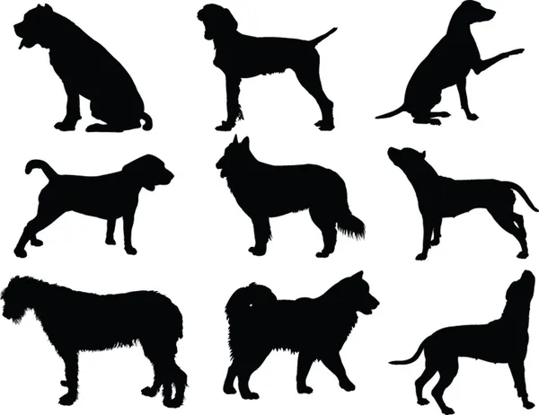 Dogs collection - vector — Stock Vector