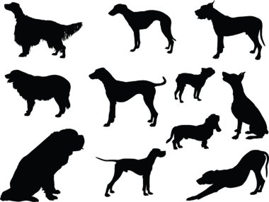 Köpek koleksiyonu - vektör