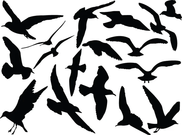 Seagull collectie - vector Rechtenvrije Stockvectors