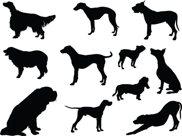 Colección de perros - vector Vectores De Stock Sin Royalties Gratis