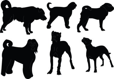 Köpek koleksiyonu - vektör